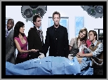 Aktorzy, Hugh Laurie, Dr House, Serial
