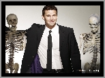 David Boreanaz, Szkielety, Bones, Serial, Kości