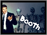 David Boreanaz, Szkielety, Kości, Serial, Bones