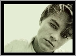 Leonardo DiCaprio, twarz