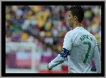 Mistrzostwa, Ronaldo, Brazylia, 2014, Piłkarz, Świata