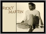 Ricky Martin, Piosenkarz