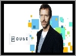 Hugh Laurie, Dr House, Serial