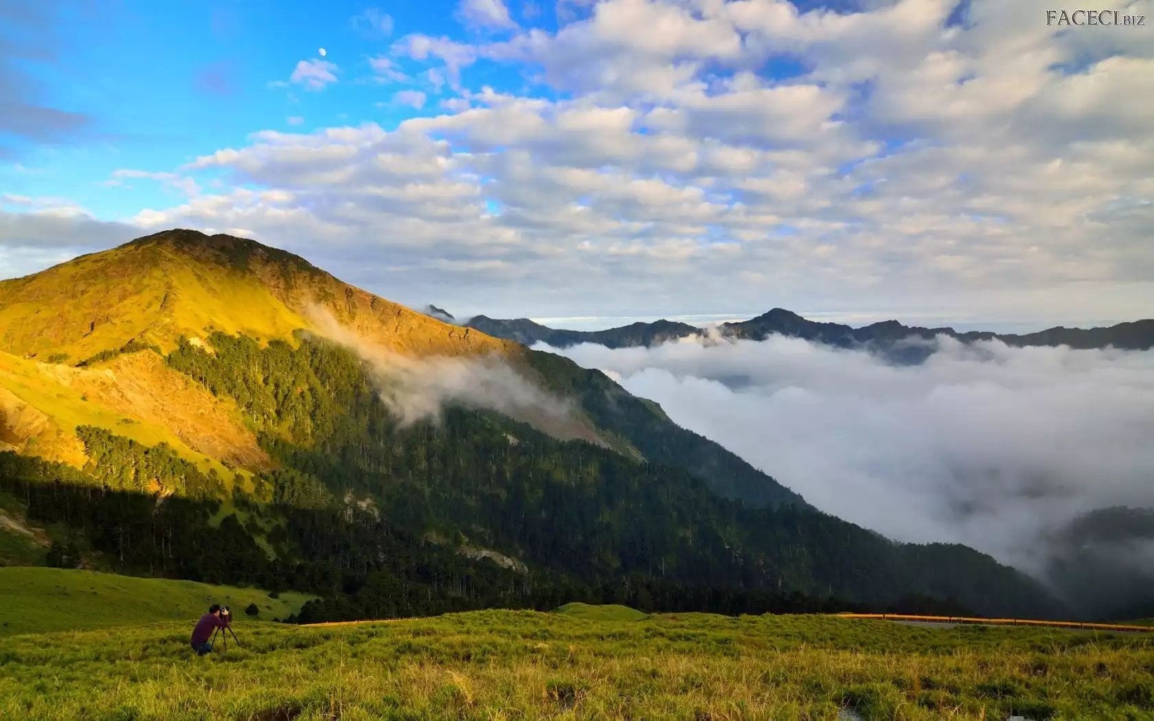 Polana, Mężczyzna, Mgła, Lasy, Fotograf, Góry