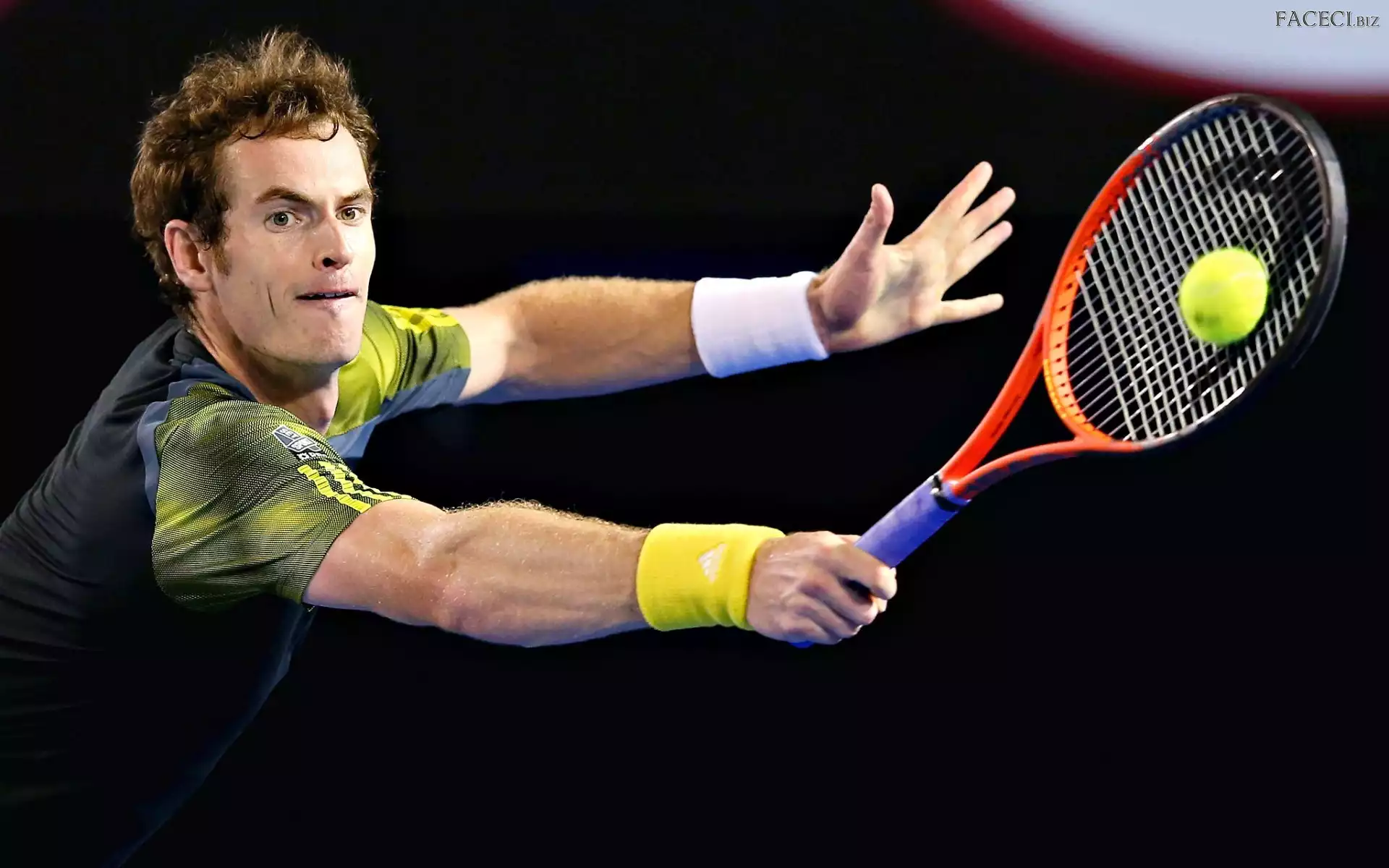 Szkot, Tenisista, Andy Murray