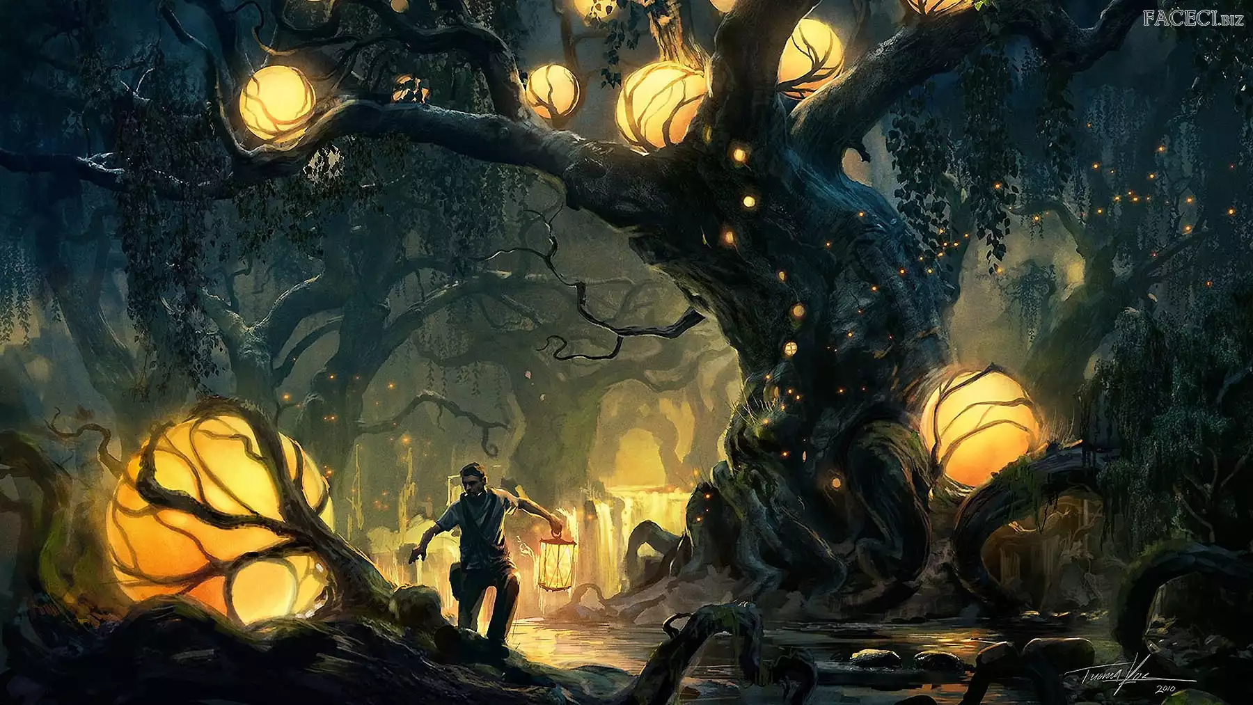 Światła, Korzenie, Fantasy, Chłopak, Lampion, Las, Drzew